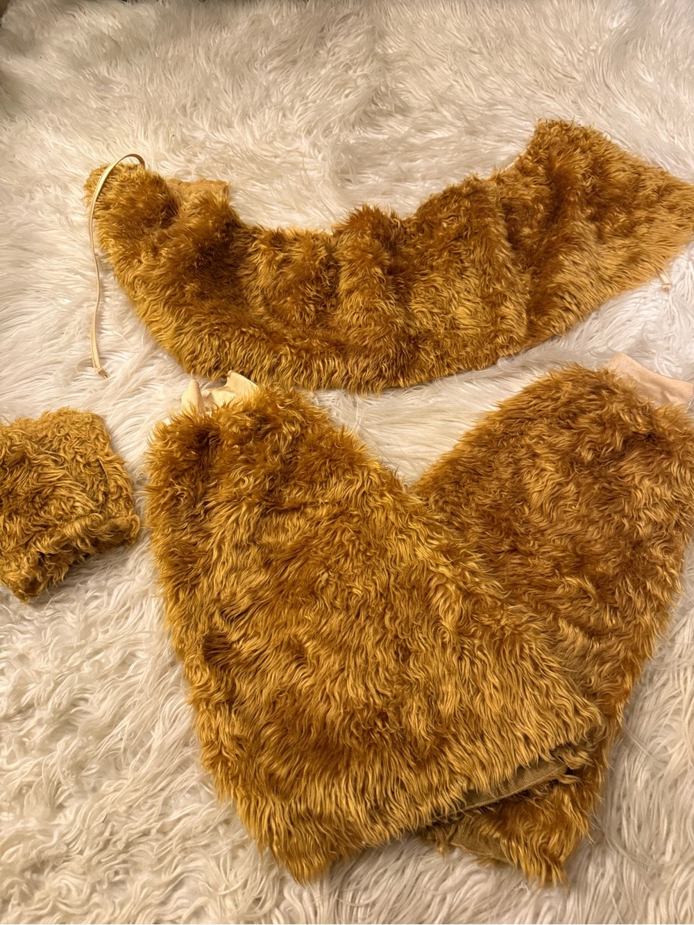 Women’s lion costume accessories